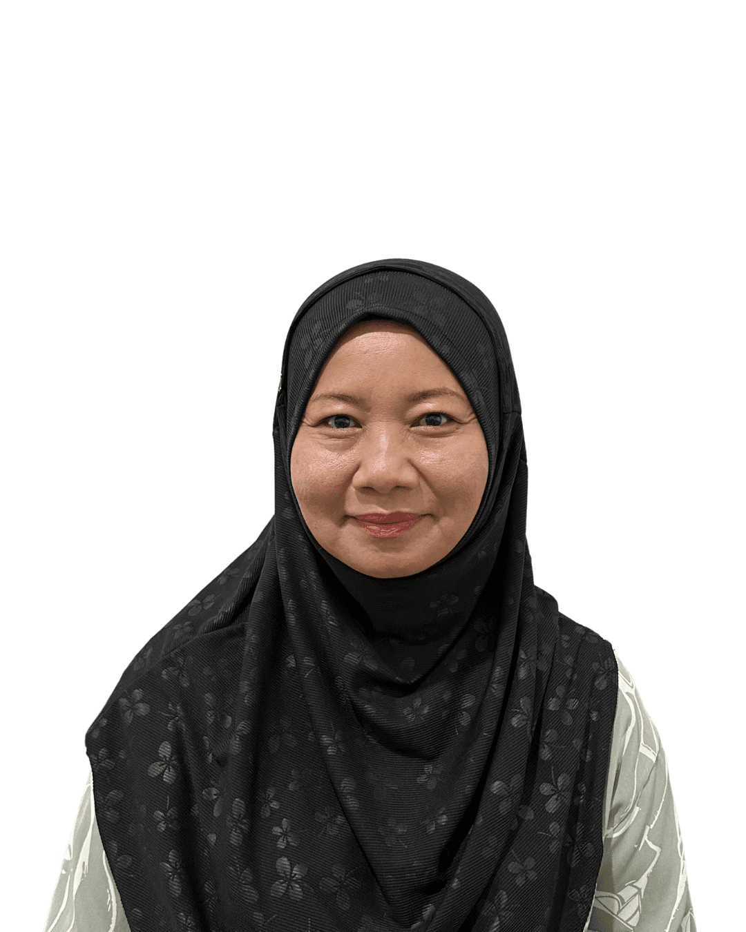 AZLINDAH BT ABDULLAH